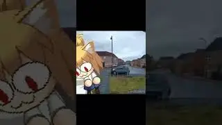 #anime #necoarc #lol #лол #мем #memes #cat