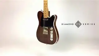 Moniker Guitars Design Series - Rosewood Dixie