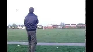Sassy best dog at fetching golf balls