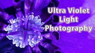 Photography with UV Light- 4K