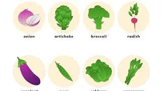 Name of Vegetables | Vegetable Name | Vegetable Name English to Punjabi with spelling and picture