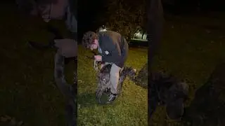 Well-deserved burnout
