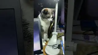 Без нее просто никак!