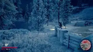 Days Gone 833 dias