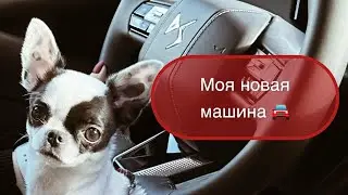 DS 4: моя радость 🚗 как я выбирала новую машину #leonawithcoffee