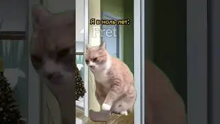 А тебе что подарили на новый год?🥹