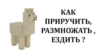 Как приручить ламу в майнкрафте? Как ездить на ламе в майнкрафте?  Как размножать лам в майнкрафт?