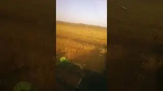 27 августа 2024 г.