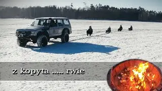 Z kopyta ... rwie