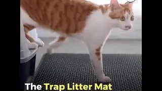 Keep Your Floors Clean