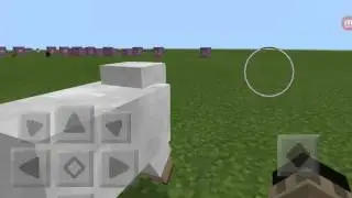 My friend playing minecraft pocket