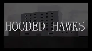 hooded hawks