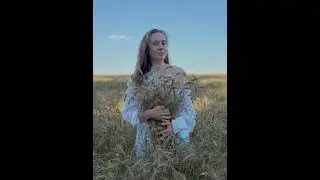 Photo in wheat