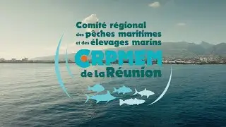 CRPMEM de La Réunion - Les filières de la pêche réunionnaise