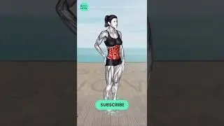 ➜ Trainer s Choice ➜ 15 Top Exercises to Incinerate Your Tummy Fat Exercise #4