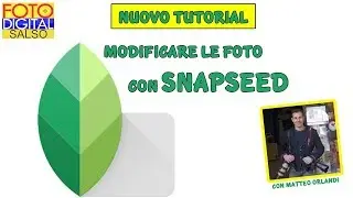 Tutorial: How to edit photos on your phone with Snapseed, a free and effective app