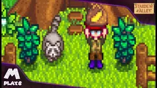 VALE A PENA DAR O QUE O GUAXINIM PEDE?!! 1.6! Ep 42