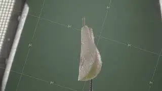 Pear rotating with loop on green screen for chroma key