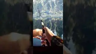 Как и в жизни)) Забросили фидер, пока ждем можно и спиннинг покидать)) не помню что за игра.