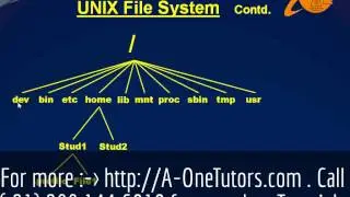Unix File Systems