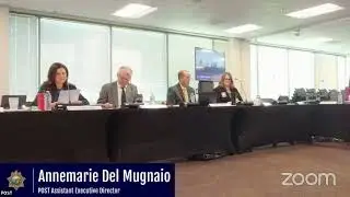 Peace Officer Standards Accountability Advisory Board Hearing