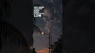 Let Her Go - Passenger #storywa #shorts
