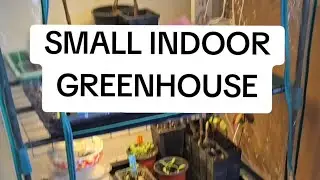 Small indoor greenhouse