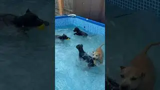 Вчера была мокрая вечеринка в честь отьезда Корсы❤️😁 