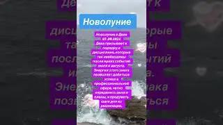 #рекомендации #гороскоп #tarot #shortsvideo #shortsyoutube #shorts #новолуние #ianinatarolog