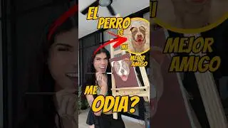 El Perro🐶 De Mi MEJOR AMIGO🙎🏻‍♂️ Me Tiene RABIA😡 #art #shortviral #tiktok
