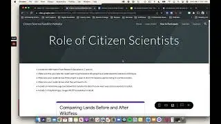 Previewing Your Google Site Forms - Demo