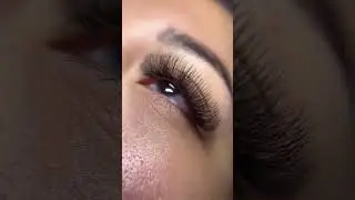 American Full Volume | Lash Extensions | 8D 0.07 #vietnamlashfactory #lashextensions