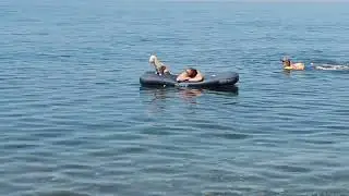 Дедеркой 19.08.2024