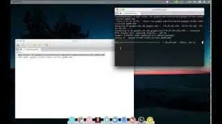 How to install chrome on linux (Elementary OS, ubuntu, mint)