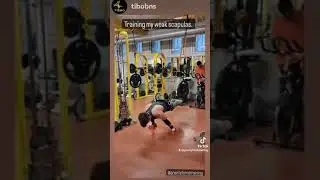 Parallettes Training using G-Force RINGS DREAM MACHINE