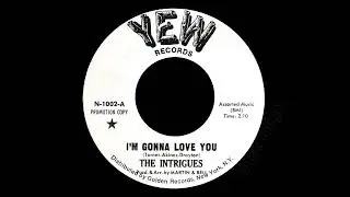 The Intrigues - I'm Gonna Love You
