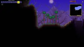 Я вернулся! Играем и разговариваем