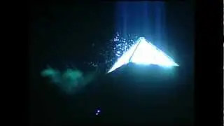 Luxor Bugs and Birds (not UFOs)