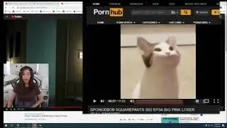 Pokimane Clicks Wrong Link Meme