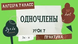 7 класс. Алгебра. Урок 7. ПРАКТИКА: Одночлены