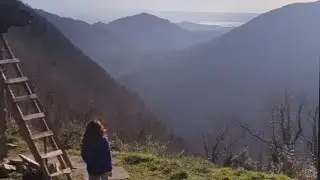 Is it scary to live alone in the forest?