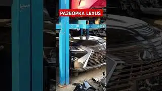 Разборка Lexus #дунаевдвижок #dunaevdriveok #разборка #лексус #lexus #авторазборка #автозапчасти