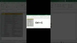 Shortcut Key to Use Format Painter in Excel