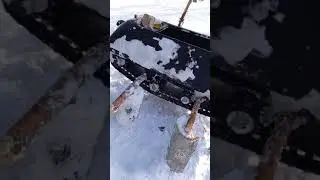 испытание лесом...