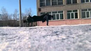Котопёс