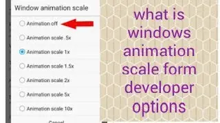 What Is Windows Animation Scale Form Developer  Option Increase Your Phone Speed Android 2019