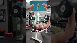 Arnold chest / back workout