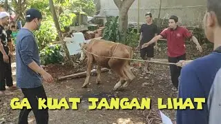 TIDAK KUAT JANGAN LIHAT