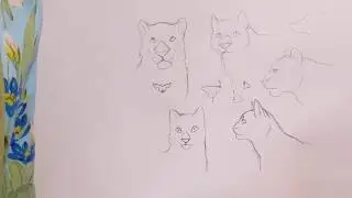 How to Draw Cats - Tutorial PART 1