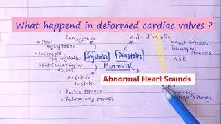 Valvular Heart Diseases Produce Which Type Of Murmurs? | Causes Of Systolic And Diastolic Murmurs .